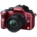 パナソニック LUMIX GH1 標準ズームレンズキット DMC-GH1A コンフォートレッド