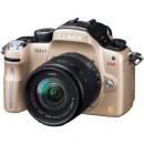 パナソニック LUMIX GH1 標準ズームレンズキット DMC-GH1A コンフォートゴールド