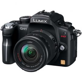 パナソニック LUMIX GH1 標準ズームレンズキット DMC-GH1A コンフォートブラック