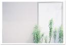 NATURA1600 現像+プリント Lサイズ (フィルム特徴仕上げ) ナチュラ