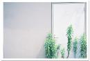Natura1600 現像+プリント Lサイズ (自動補正プリント) ナチュラ