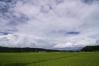 【WEB限定特価】 smc PENTAX-DA 12-24mm F4 ED AL [IF]