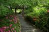 【WEB限定特価】 smc PENTAX-DA 21mm F3.2 AL Limited