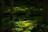 ペンタックス SMC PENTAX-D FA MACRO マクロ  50mm F2.8 【WEB限定特価】