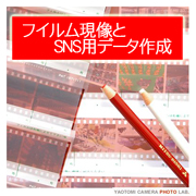 フィルム現像とSNSデータ作成・カラープリントは大阪・梅田のカメラの八百富へ・郵送プリント受付中