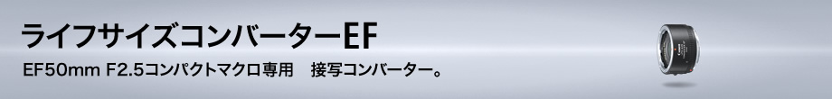 ライフサイズコンバーターEF(EF50mm F2.5コンパクトマクロ専用)