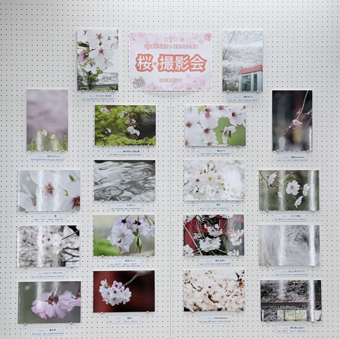 春の桜撮影会_展示.jpg