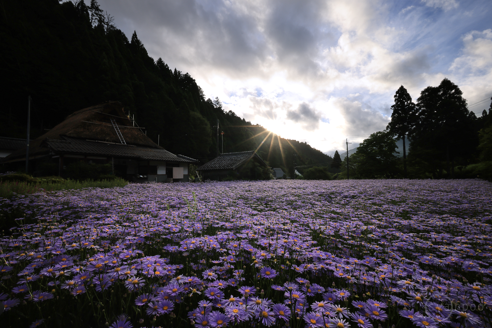 https://www.yaotomi.co.jp/blog/walk/0J1A5019%2C16%20mm%2CF20%2Ciso100%28JPEG%29.jpg