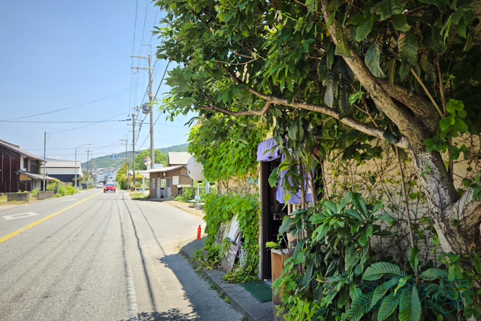 https://www.yaotomi.co.jp/blog/walk/20250605_120154%2C5%20mm%2CF1.8%2C1-620%20%E7%A7%92%2Ciso25%28JPEG%29.jpg