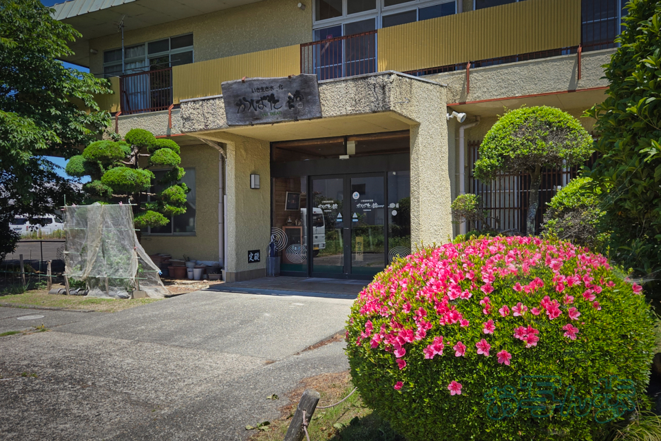 https://www.yaotomi.co.jp/blog/walk/20260530_105821co%2C5%20mm%2CF1.8%2Ciso25%28JPEG%29.jpg