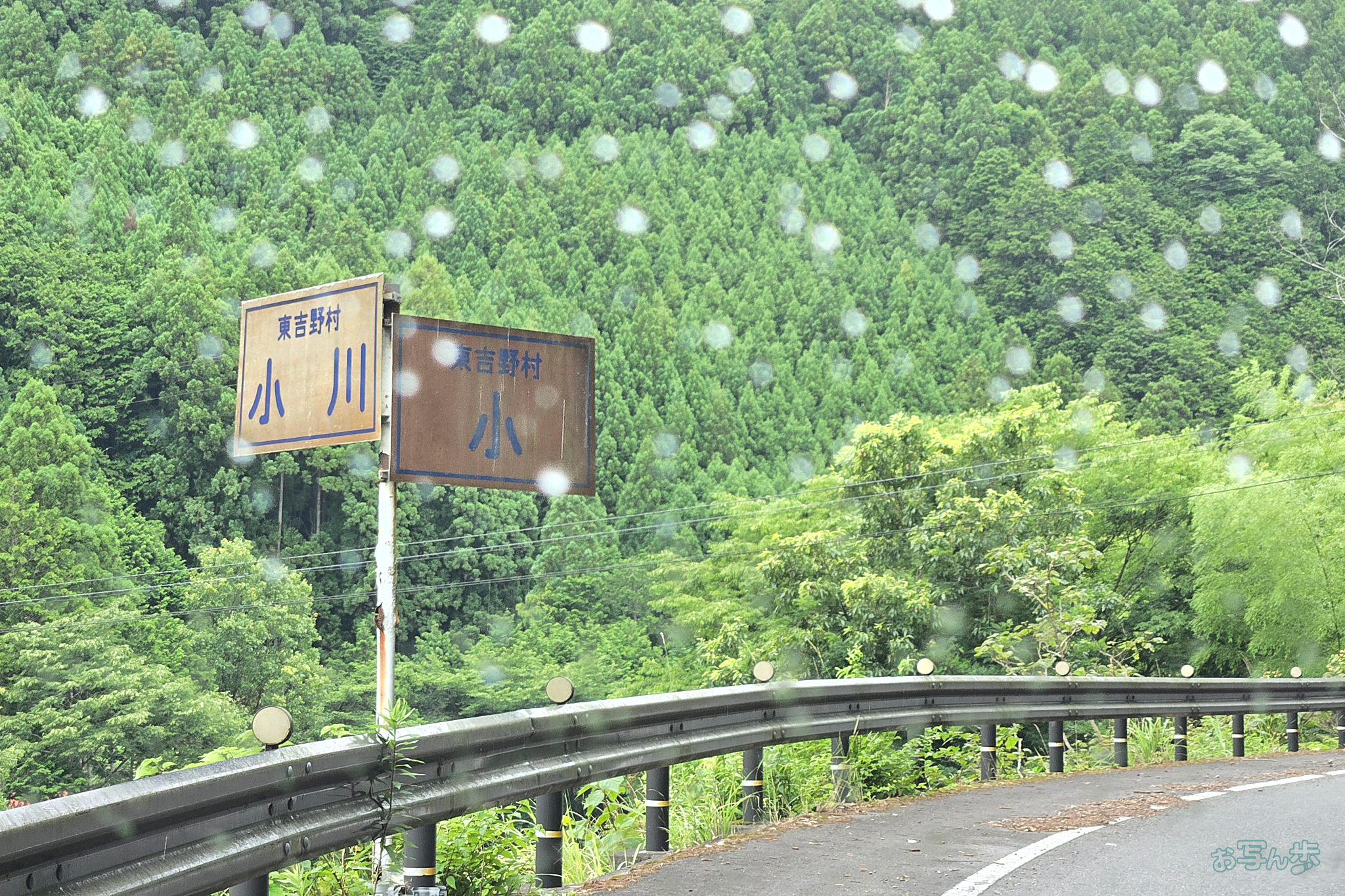 https://www.yaotomi.co.jp/blog/walk/20260624_114101%2C7%20mm%2CF2.4%2Ciso40%28JPEG%29.jpg