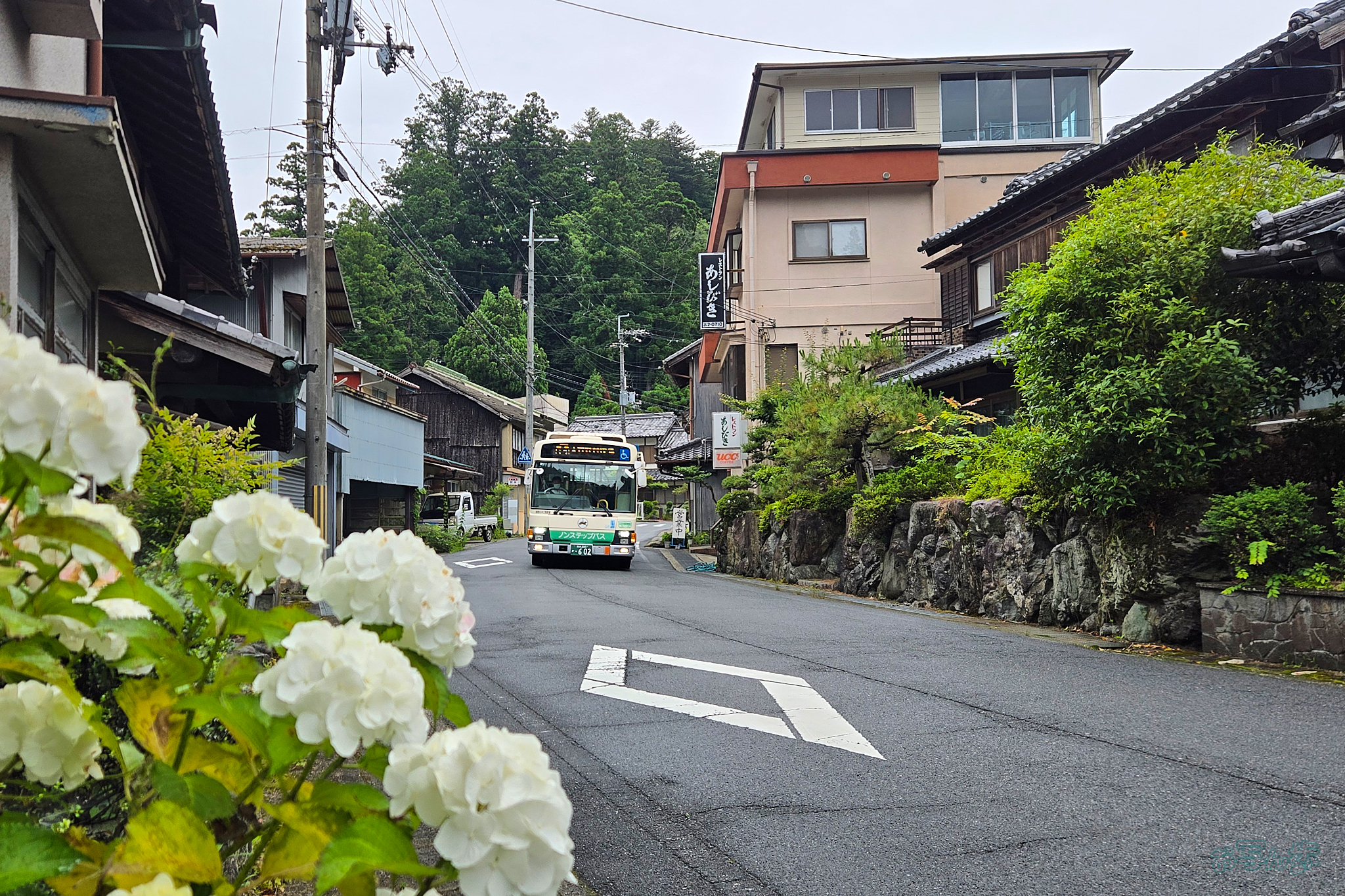 https://www.yaotomi.co.jp/blog/walk/20260624_115006%2C5%20mm%2CF1.8%2Ciso25%28JPEG%29.jpg