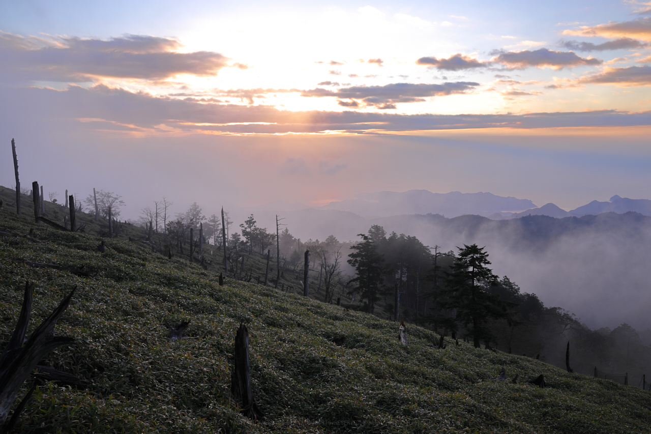 https://www.yaotomi.co.jp/blog/walk/270A0065_33%20mm%28F10%29iso125_2018yaotomi%201.jpg