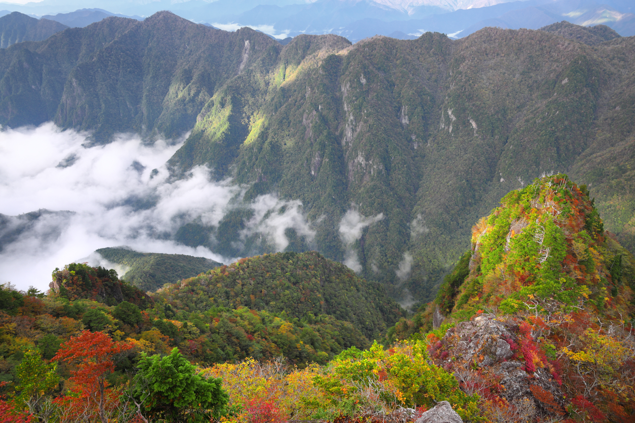 https://www.yaotomi.co.jp/blog/walk/270A0178_24%20mm%28F10%29iso100_2018yaotomi%202.jpg