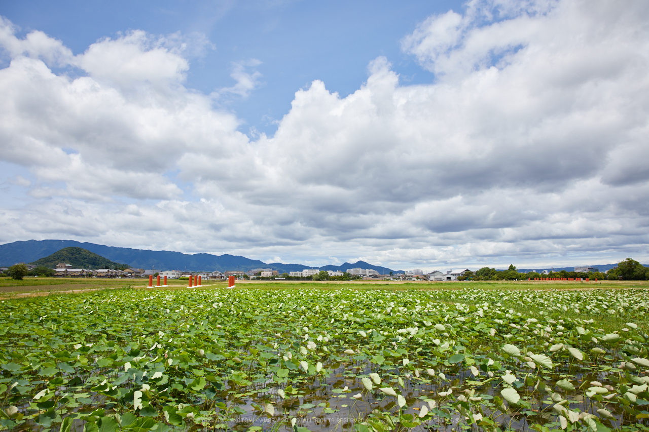 https://www.yaotomi.co.jp/blog/walk/3A1A0446%2C2017yaotomi.jpg