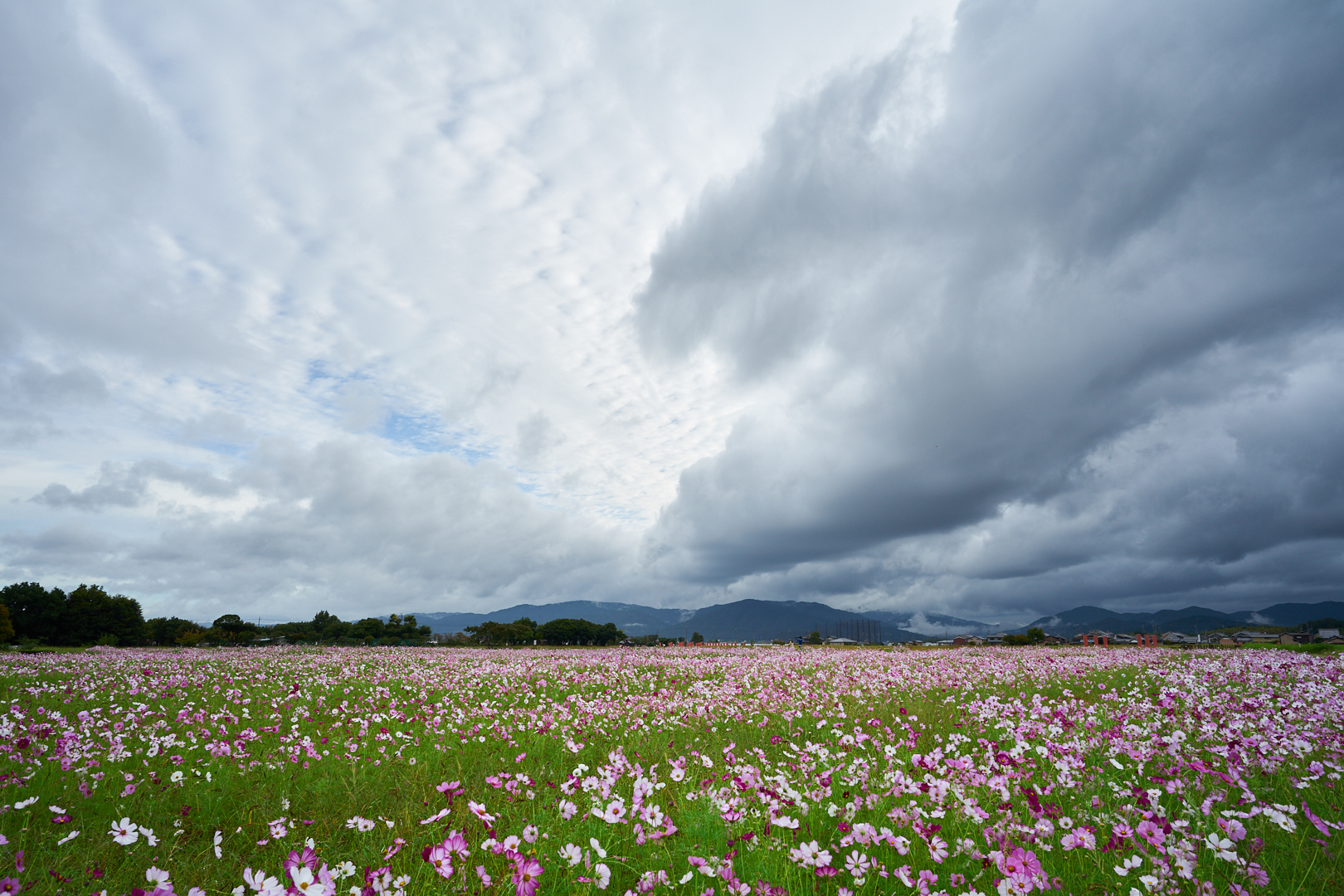 https://www.yaotomi.co.jp/blog/walk/7II00196%2C20%20mm%2CF9%2Ciso100%28cRAW%29%201.jpg