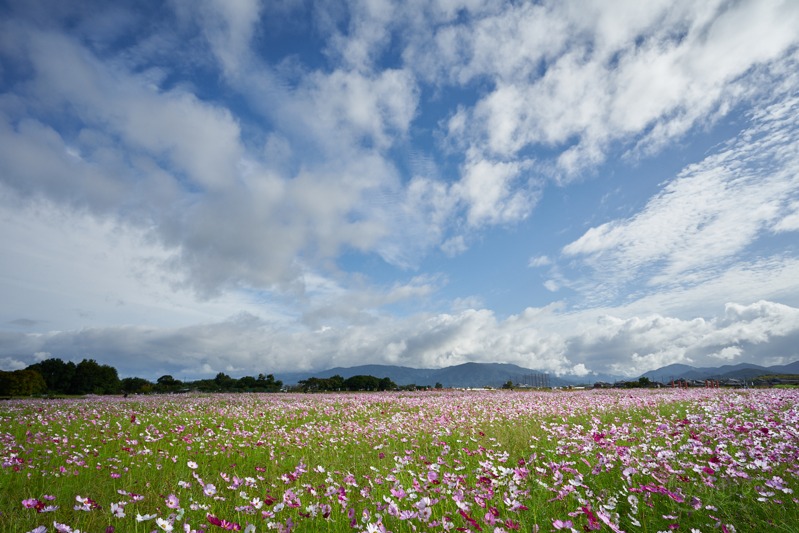 https://www.yaotomi.co.jp/blog/walk/7II00274%2C20%20mm%2CF10%2Ciso100%28cRAW%29.jpg