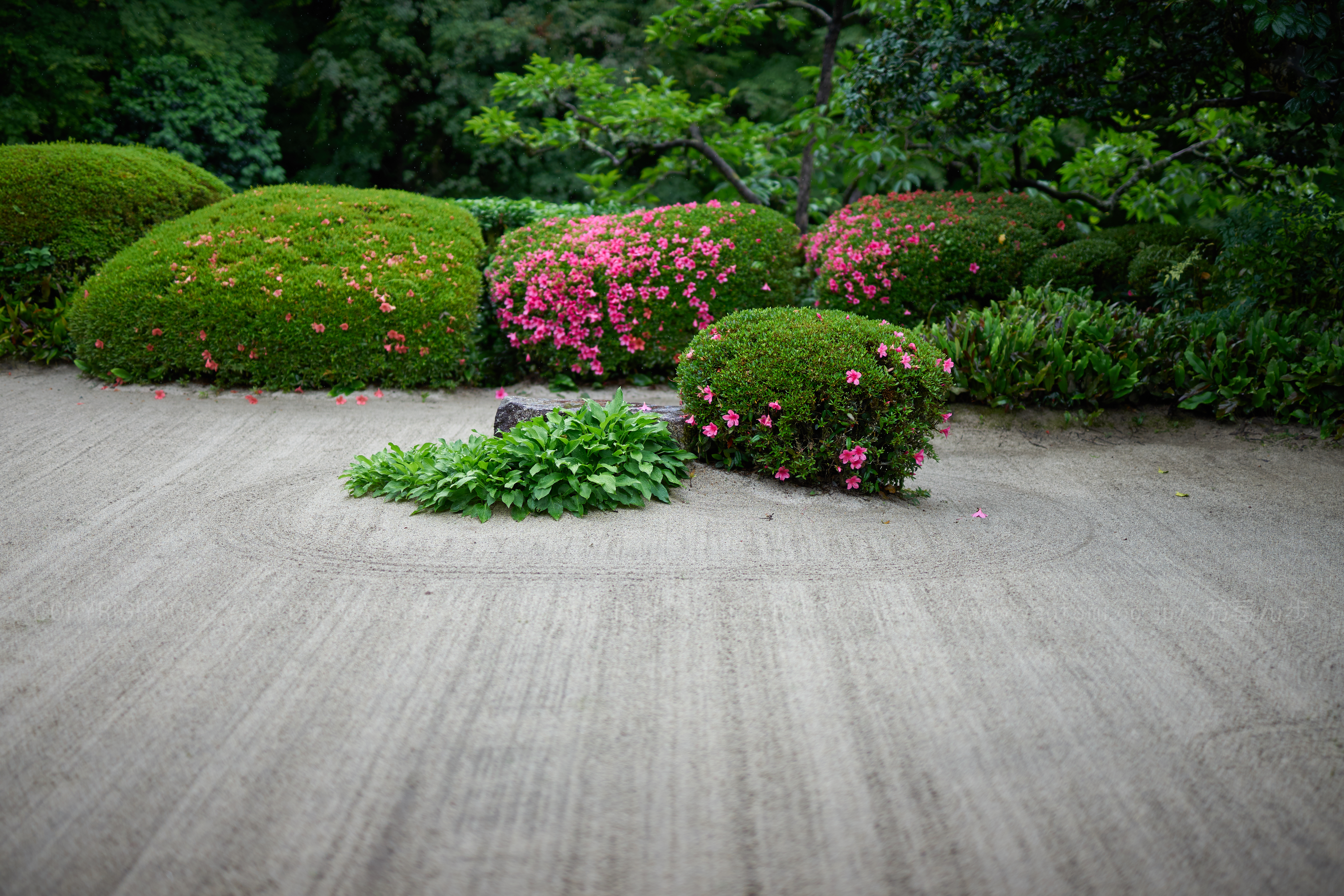 https://www.yaotomi.co.jp/blog/walk/7II01320_50%20mm%28F1.4%29iso100_2018yaotomi%201.jpg