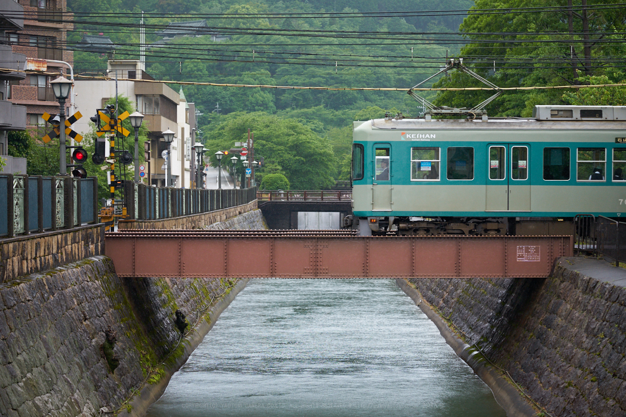 https://www.yaotomi.co.jp/blog/walk/7II01879_100%20mm%28F5%29iso800_2018yaotomi.jpg