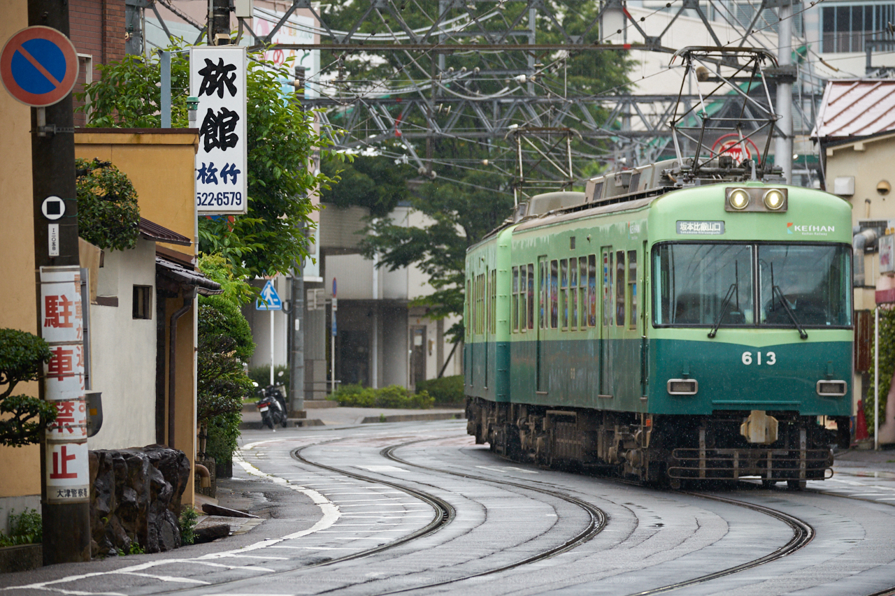 https://www.yaotomi.co.jp/blog/walk/7II01951_207%20mm%28F5.6%29iso800_2018yaotomi.jpg