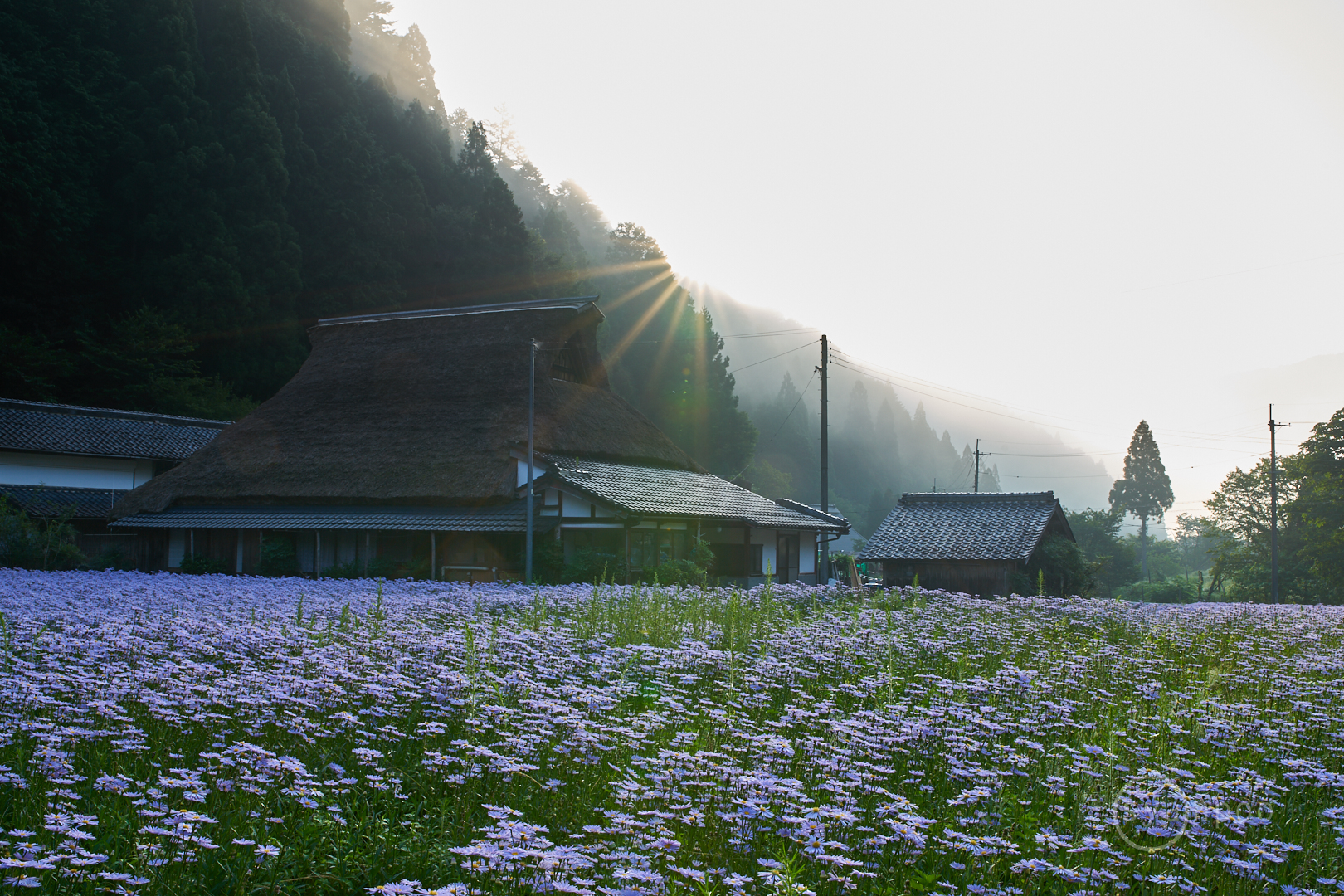 https://www.yaotomi.co.jp/blog/walk/7II06374%2C35%20mm%2CF16%2Ciso64%28cRAW%29.jpg