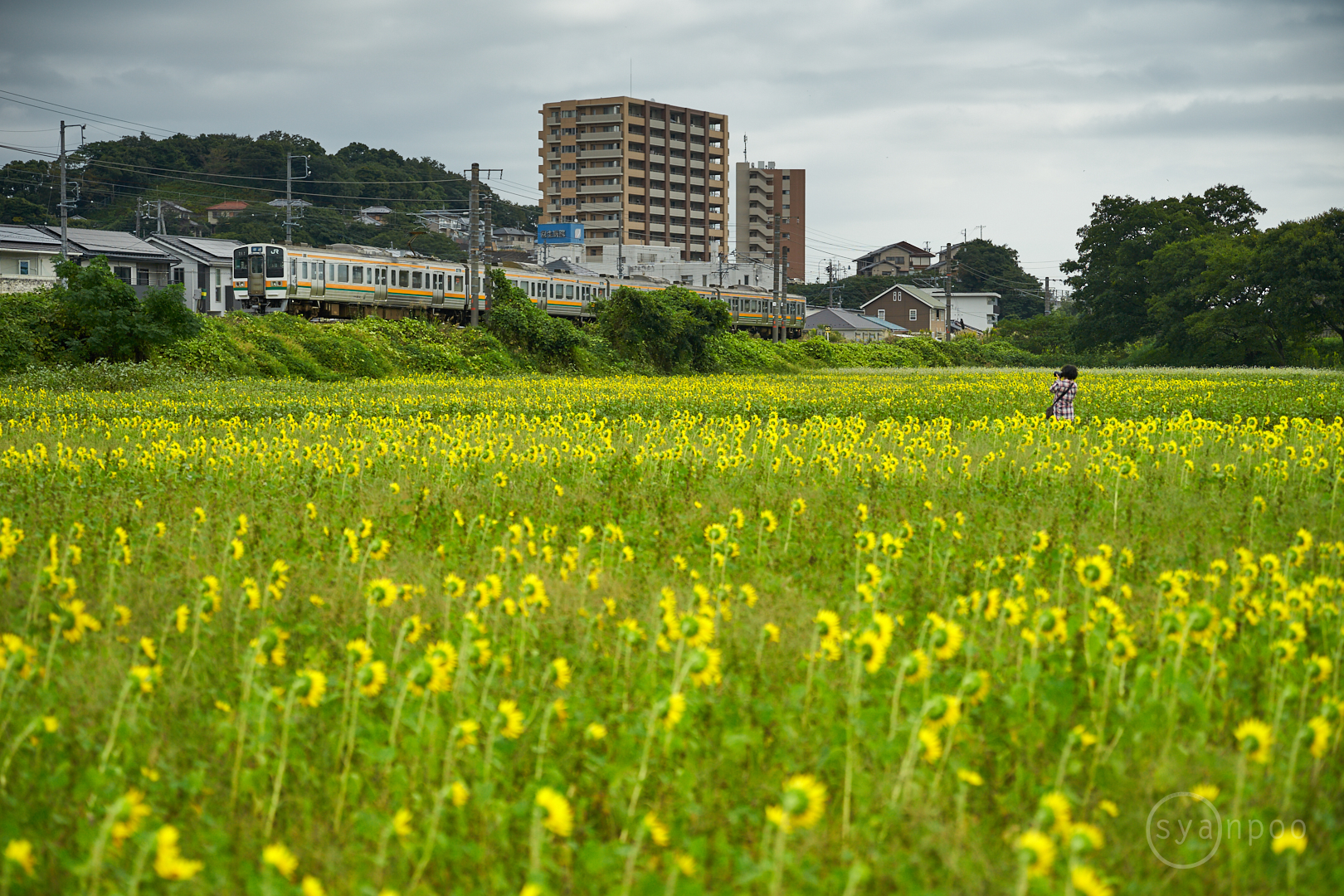 https://www.yaotomi.co.jp/blog/walk/7II06784%2C63%20mm%2CF2.5%2Ciso100%28cRAW%29.jpg