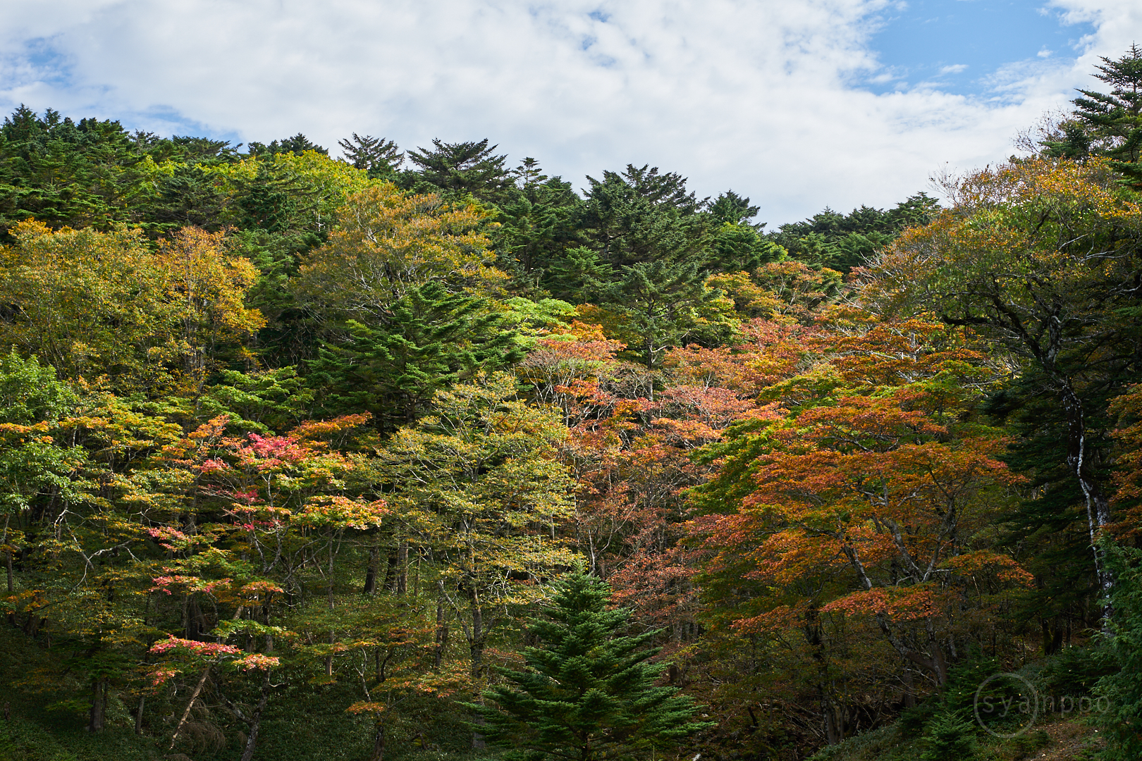 https://www.yaotomi.co.jp/blog/walk/7II07487%2C68%20mm%2CF8%2Ciso100%28cRAW%29.jpg