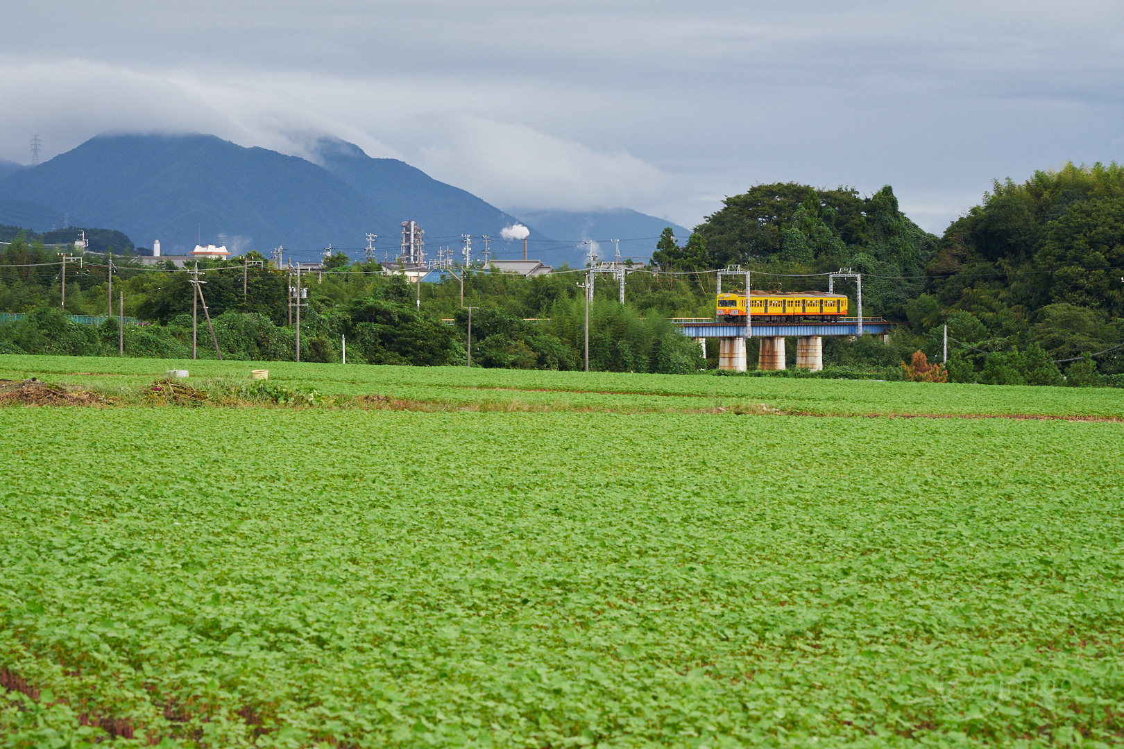 https://www.yaotomi.co.jp/blog/walk/7II08521%2C142%20mm%2CF13%2Ciso800%28cRAW%29.jpg