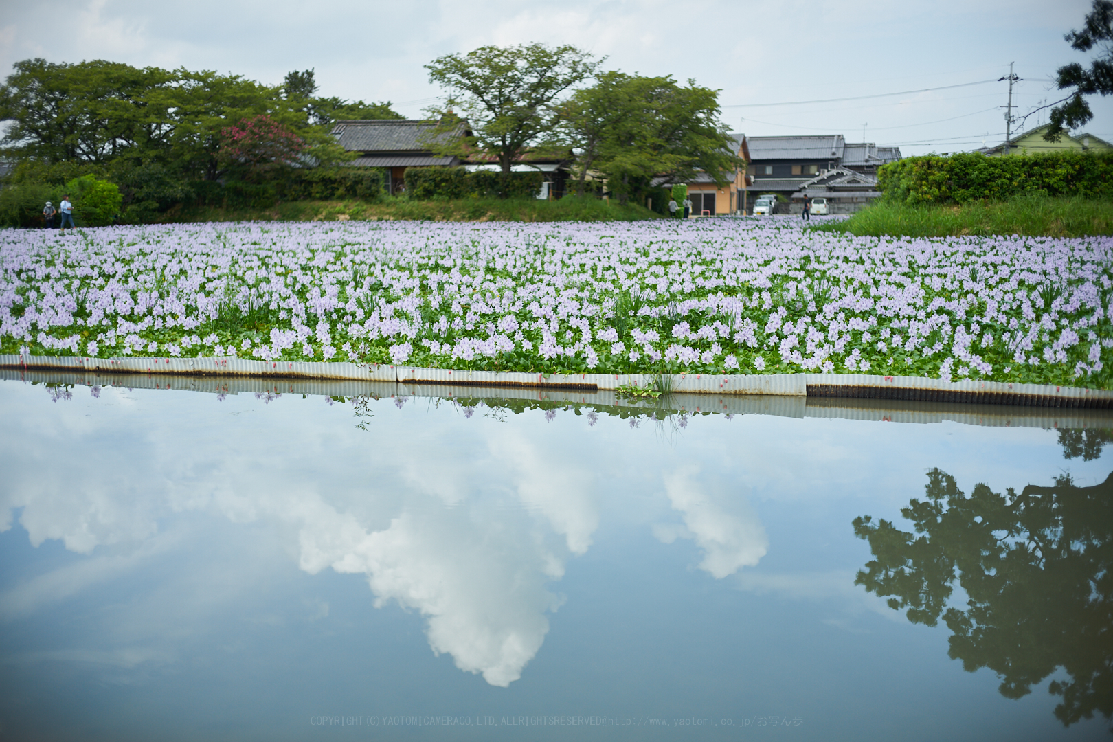 https://www.yaotomi.co.jp/blog/walk/7II08566%2C35%20mm%2CF2.2%2Ciso100.jpg