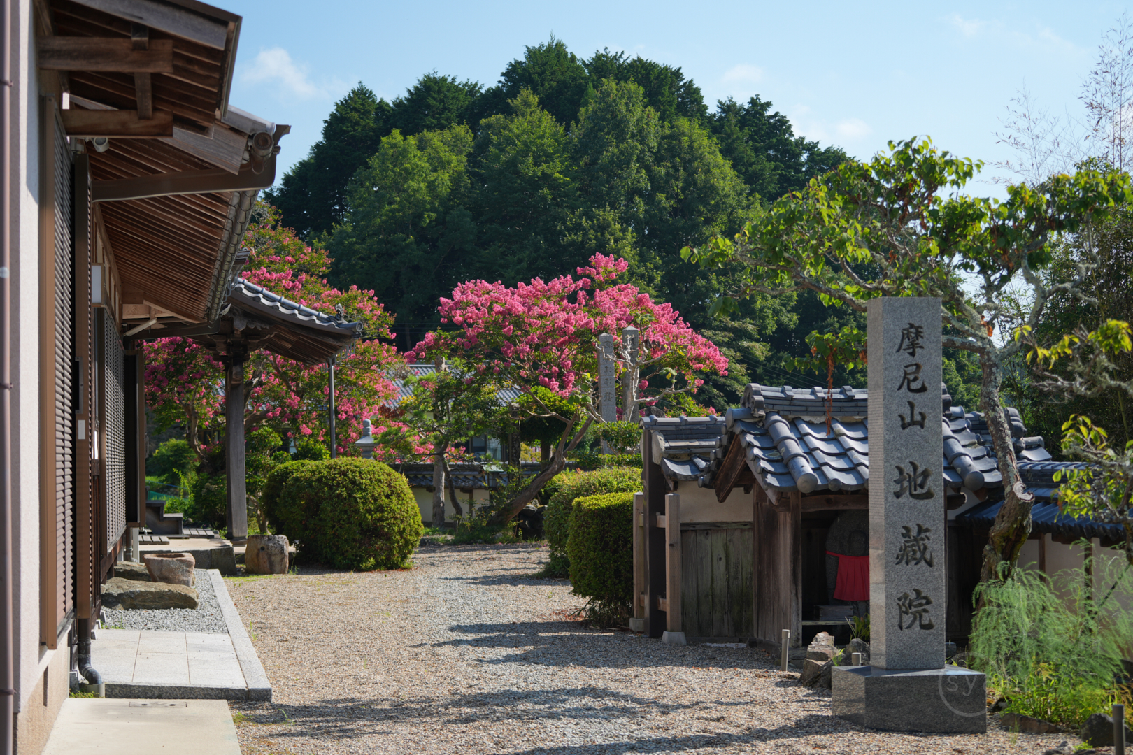https://www.yaotomi.co.jp/blog/walk/7RV01919%2C68%20mm%2CF6.3%2C1-100%20%E7%A7%92%2Ciso100%28JPEG%29.jpg