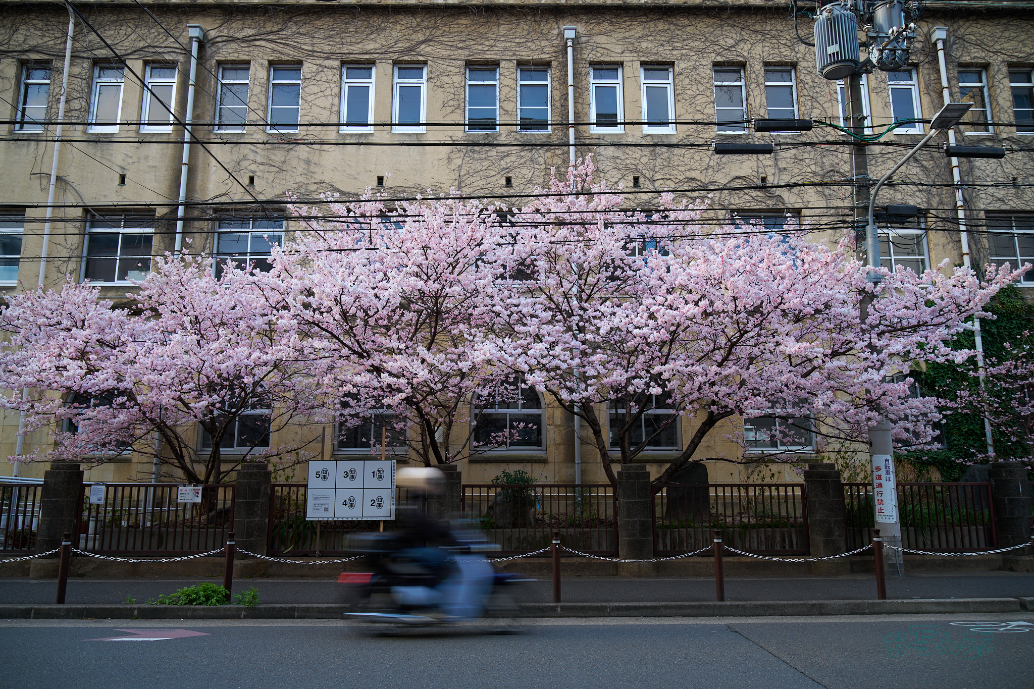 https://www.yaotomi.co.jp/blog/walk/7RV02138co%2C24%20mm%2CF7.1%2Ciso100%28SRAW%29.jpg