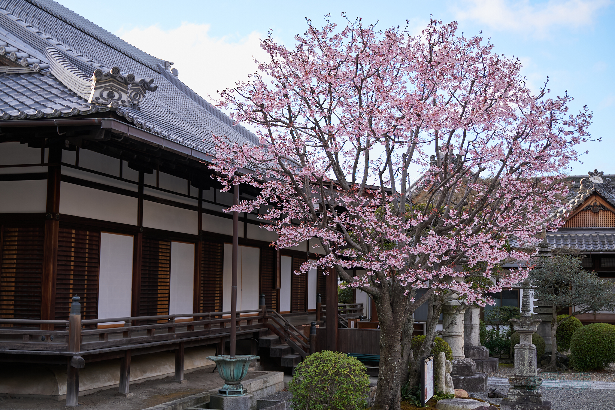 https://www.yaotomi.co.jp/blog/walk/7RV02247co%2C46%20mm%2CF2.8%2Ciso100%28SRAW%29.jpg