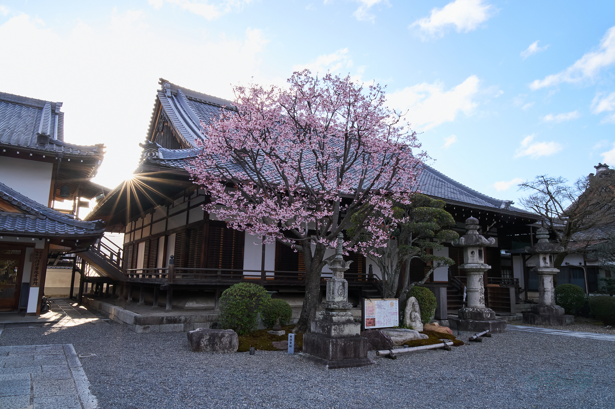 https://www.yaotomi.co.jp/blog/walk/7RV02297co%2C24%20mm%2CF22%2Ciso400%28SRAW%29.jpg