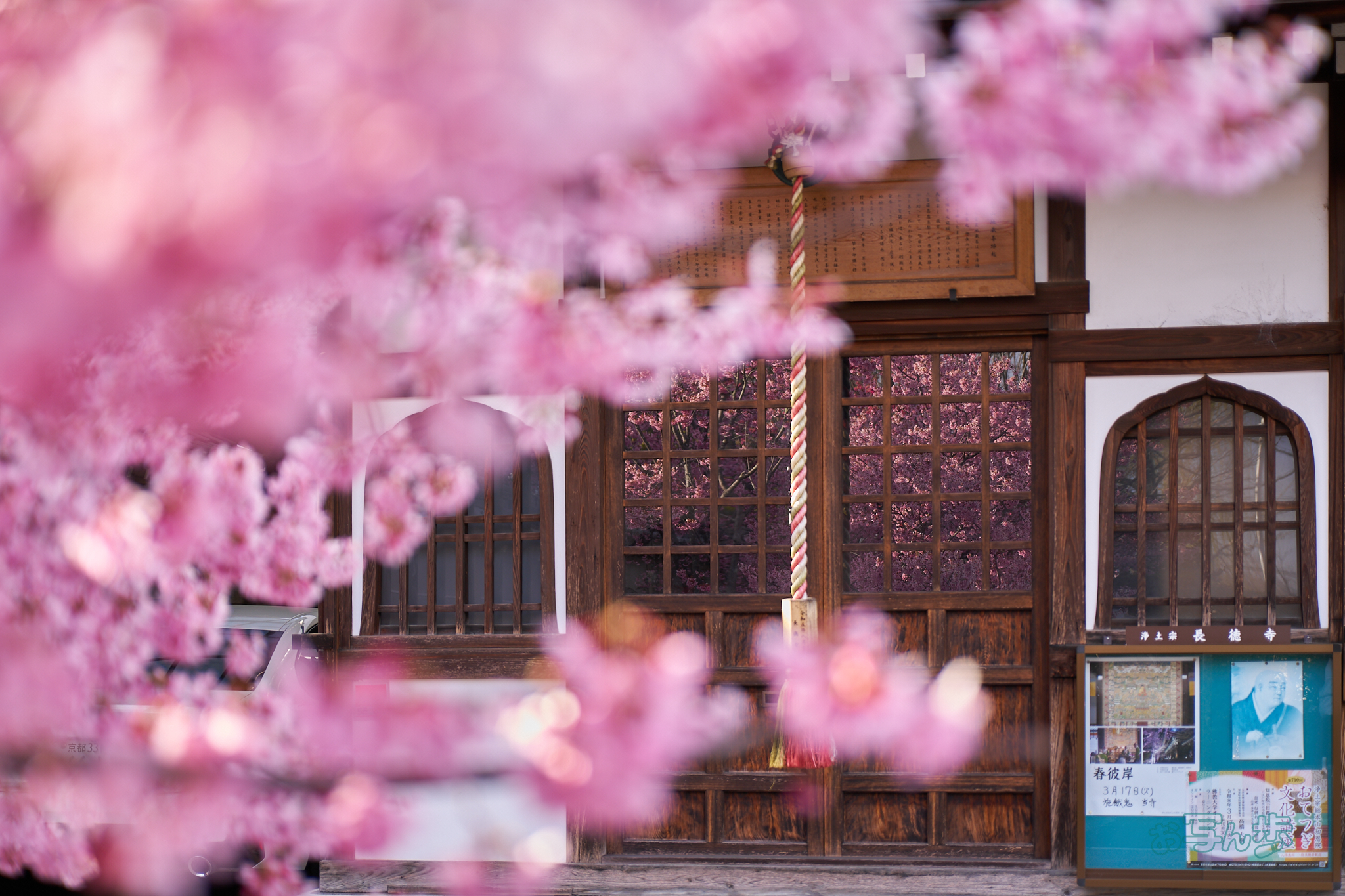 https://www.yaotomi.co.jp/blog/walk/7RV02456co%2C60%20mm%2CF2.8%2Ciso100%28SRAW%29_1.jpg
