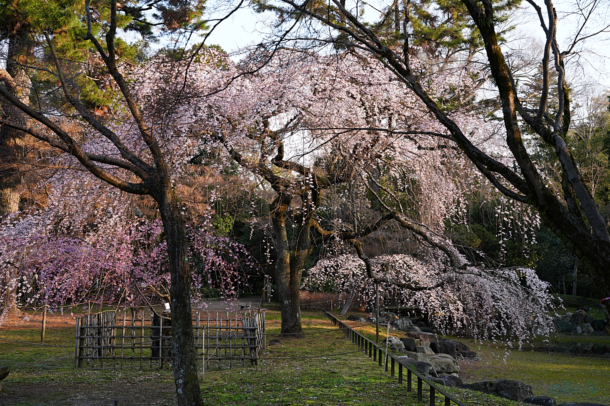 https://www.yaotomi.co.jp/blog/walk/7RV03629%2C49%20mm%2CF8%2Ciso160%28JPEG%29.jpg