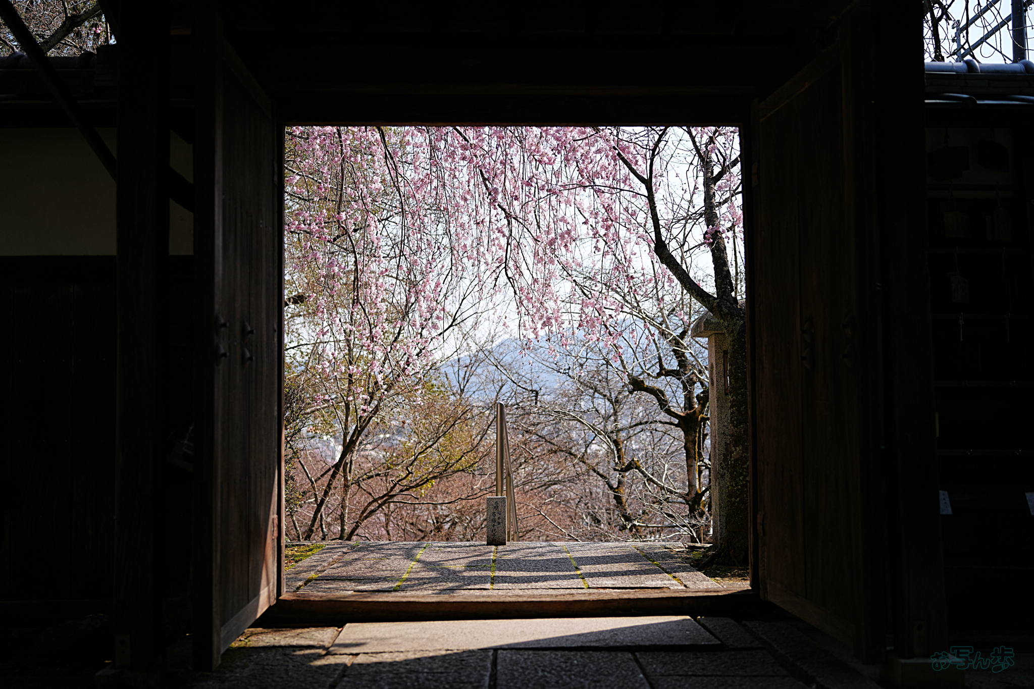 https://www.yaotomi.co.jp/blog/walk/7RV04037%2C35%20mm%2CF2.8%2Ciso100%28JPEG%29.jpg