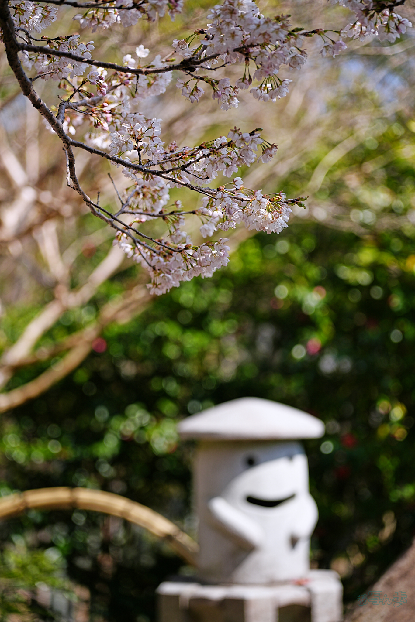 https://www.yaotomi.co.jp/blog/walk/7RV04232%2C79%20mm%2CF2.8%2Ciso100%28JPEG%29.jpg