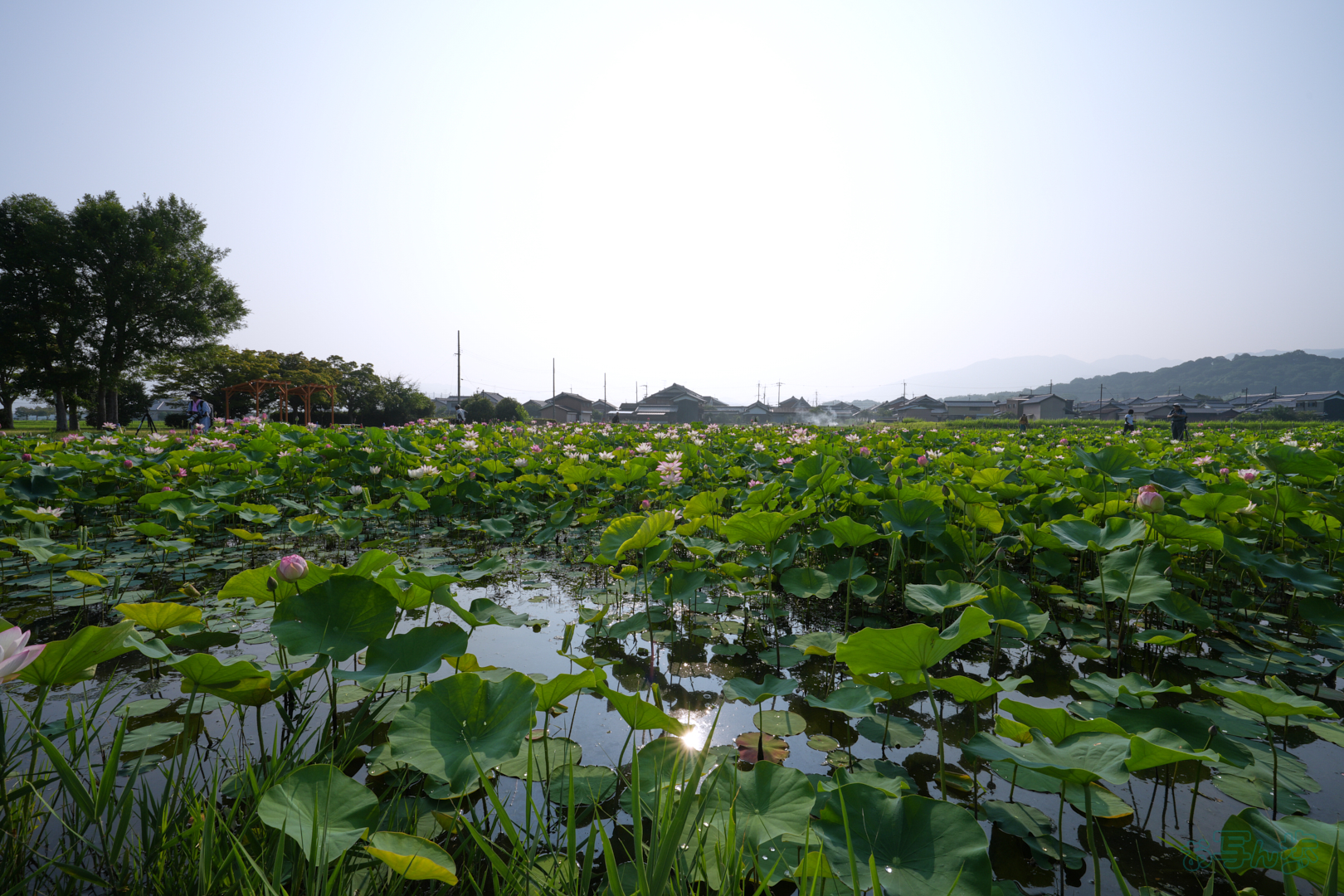 https://www.yaotomi.co.jp/blog/walk/7RV06305%2C16%20mm%2CF16%2C1-125%20%E7%A7%92%2Ciso100%28JPEG%29.jpg