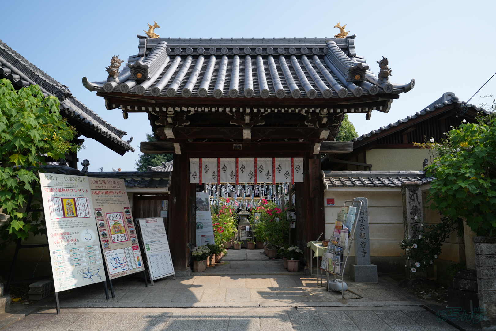 https://www.yaotomi.co.jp/blog/walk/7RV06720%2C26%20mm%2CF2.8%2C1-1250%20%E7%A7%92%2Ciso100%28JPEG%29.jpg