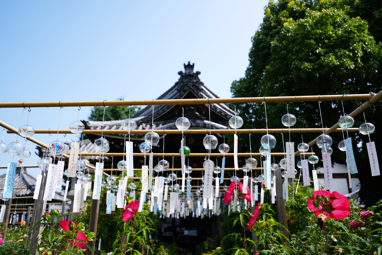 https://www.yaotomi.co.jp/blog/walk/7RV07131%2C27%20mm%2CF2.8%2C1-1250%20%E7%A7%92%2Ciso100%28JPEG%29.jpg