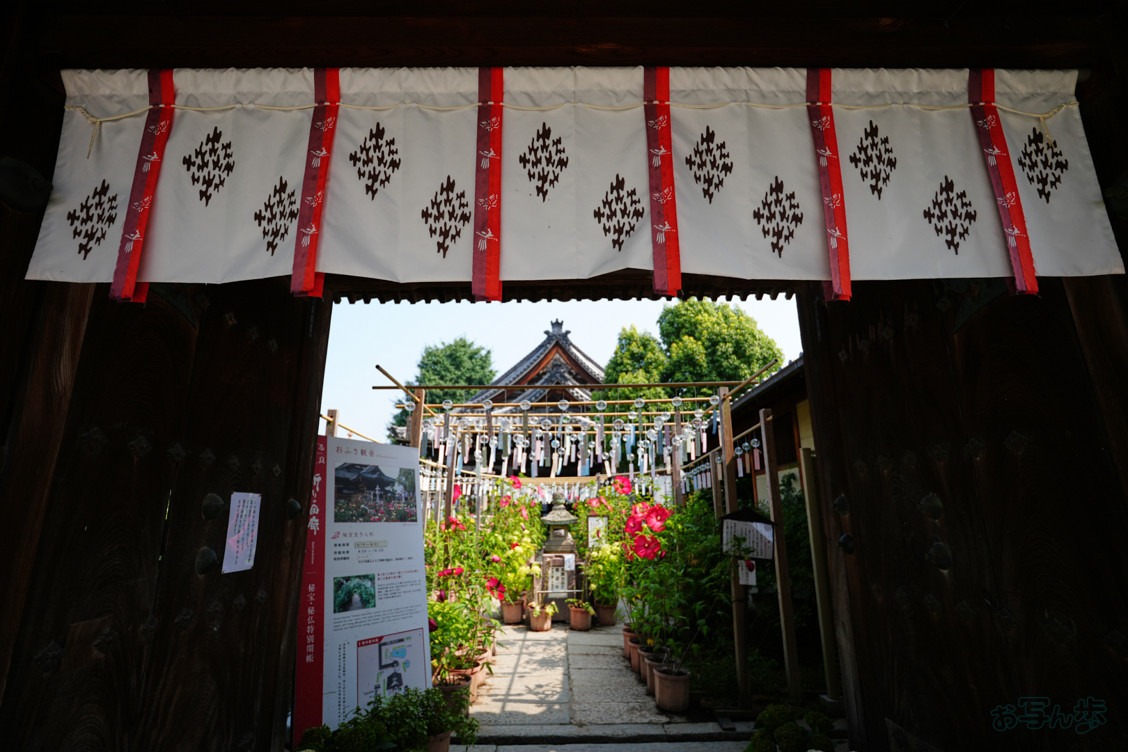https://www.yaotomi.co.jp/blog/walk/7RV07161%2C16%20mm%2CF2.8%2C1-1000%20%E7%A7%92%2Ciso100%28JPEG%29.jpg