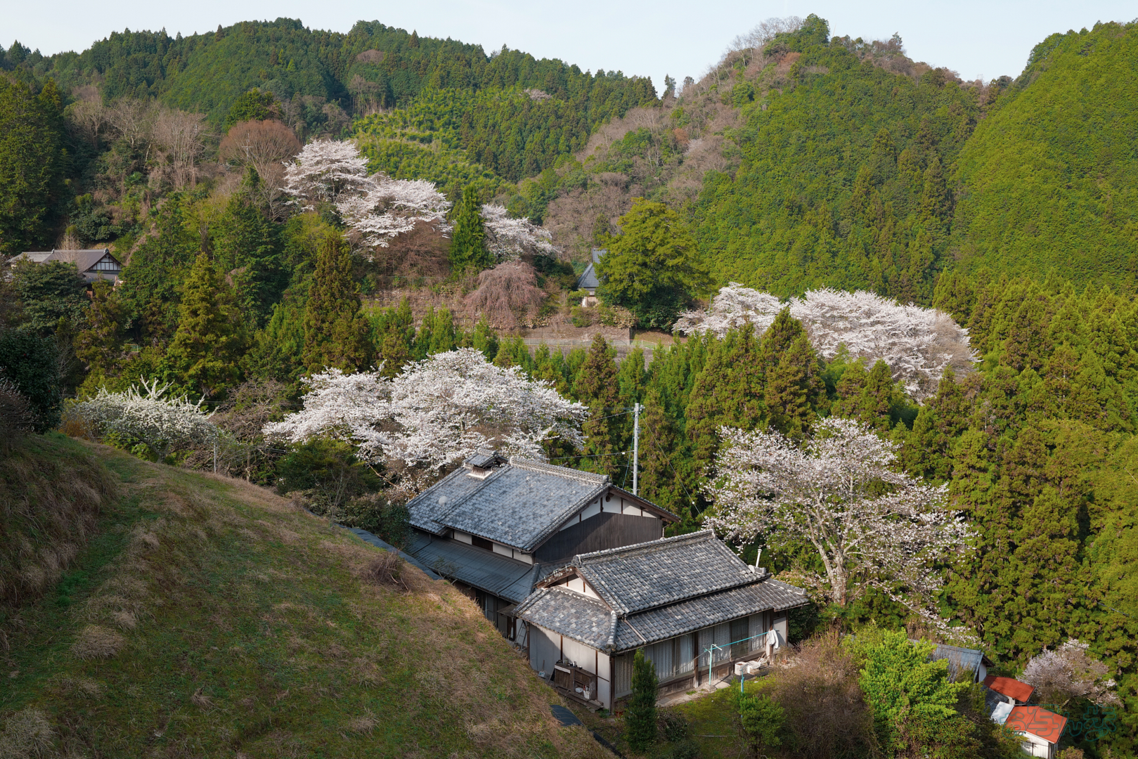 https://www.yaotomi.co.jp/blog/walk/BF_00320%2C35%20mm%2CF7.1%2C1-640%20%E7%A7%92%2Ciso400%28JPEG%29.jpg