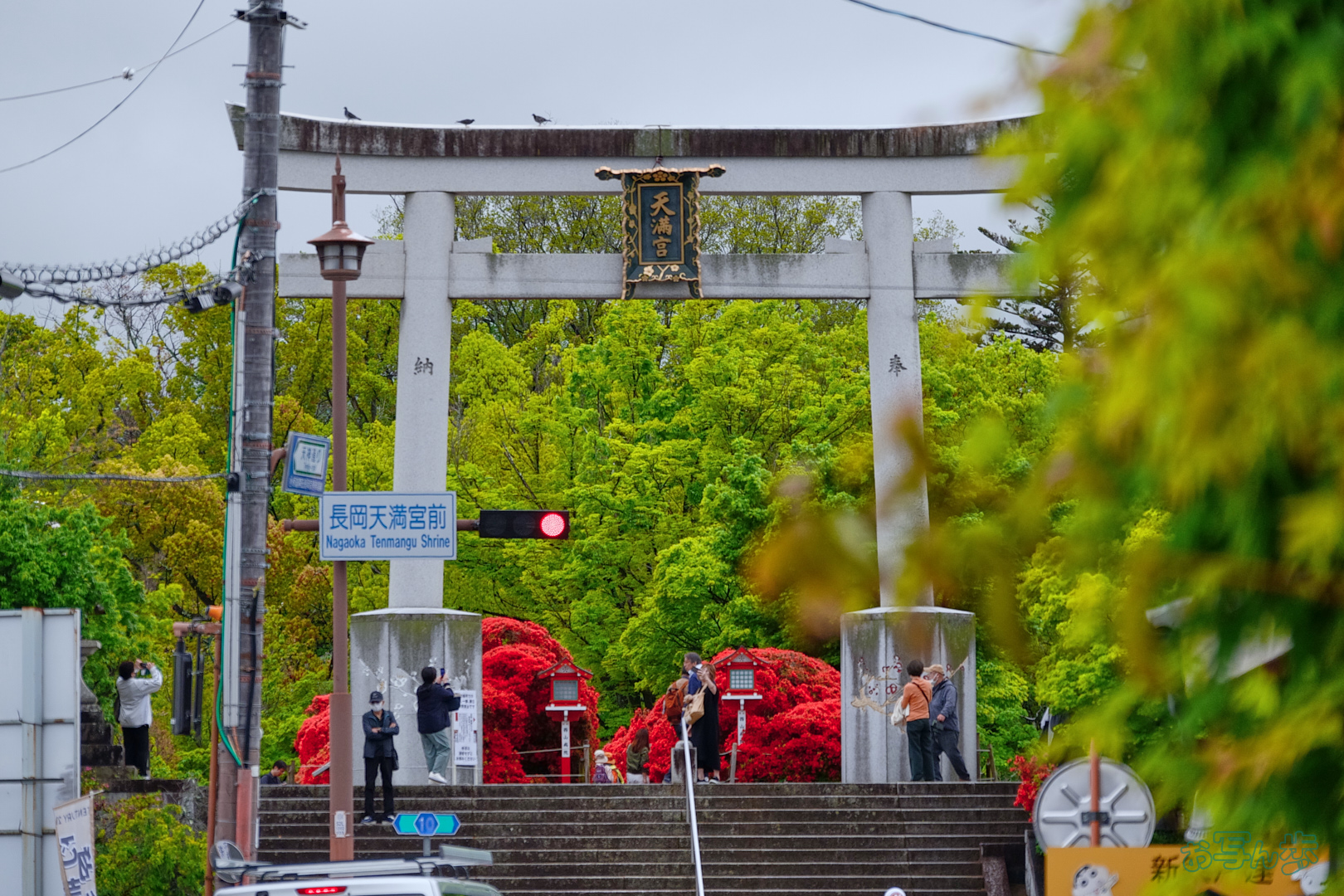 https://www.yaotomi.co.jp/blog/walk/BF_03262%2C134%20mm%2CF6.7%2C1-250%20%E7%A7%92%2Ciso400%28JPEG%29.jpg