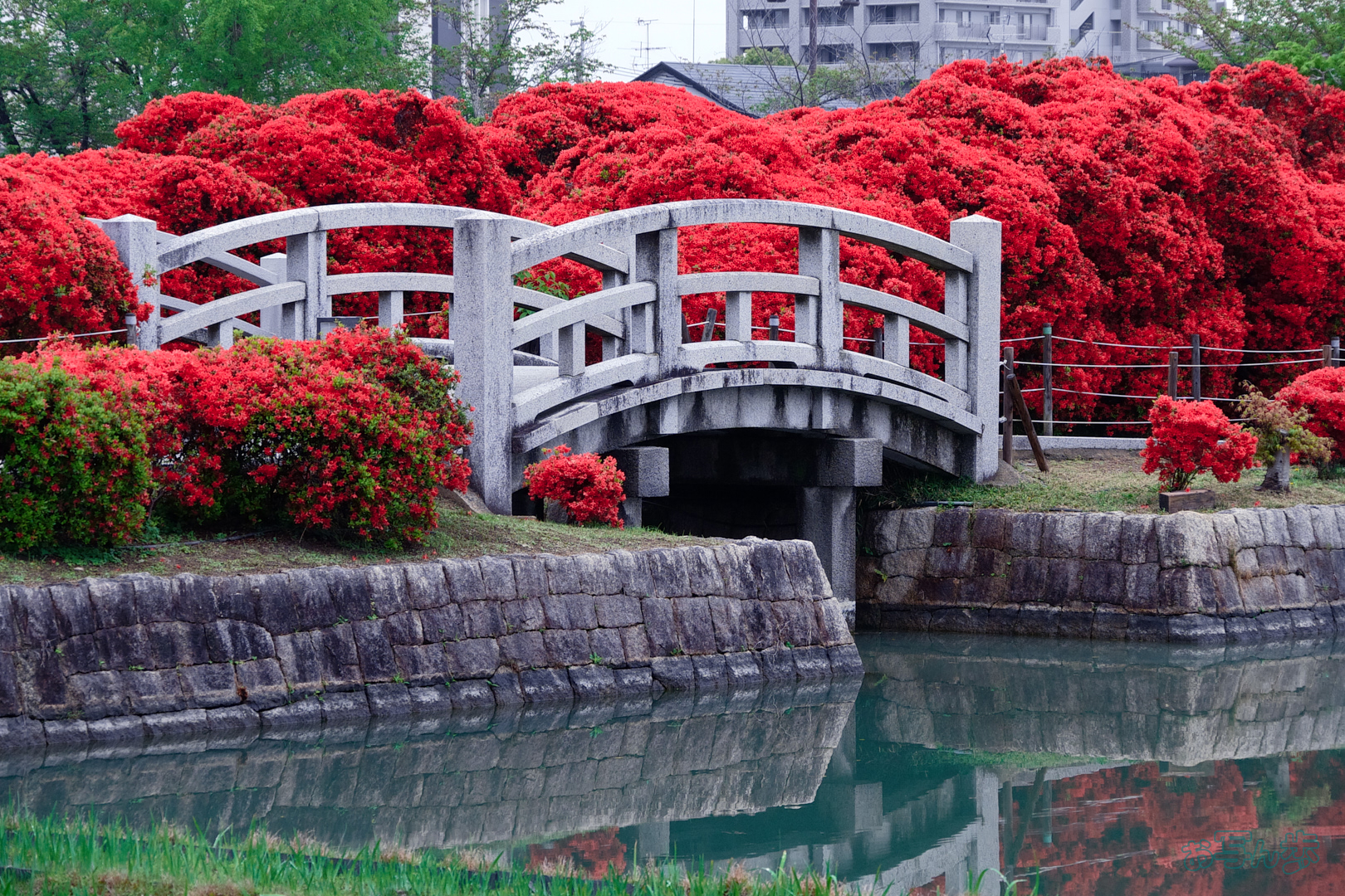 https://www.yaotomi.co.jp/blog/walk/BF_03481%2C103%20mm%2CF8%2C1-160%20%E7%A7%92%2Ciso500%28JPEG%29.jpg