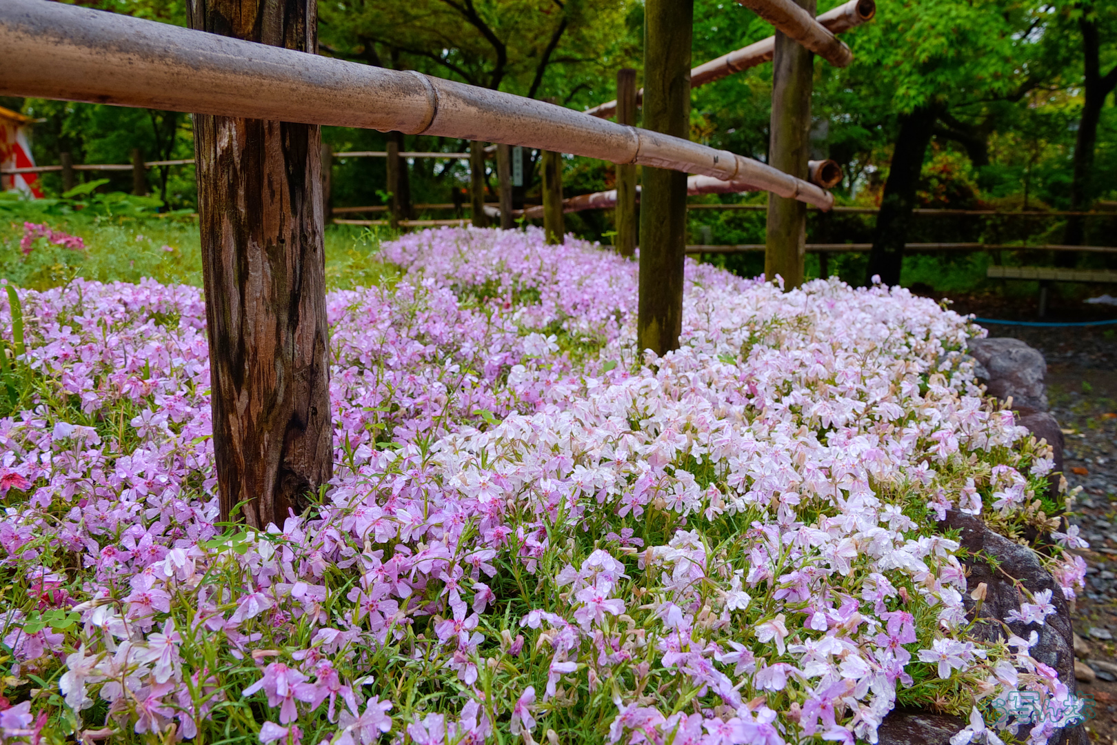 https://www.yaotomi.co.jp/blog/walk/BF_03501%2C16%20mm%2CF8%2C1-50%20%E7%A7%92%2Ciso400%28JPEG%29.jpg