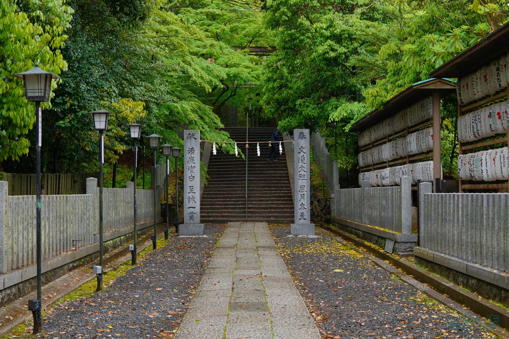 https://www.yaotomi.co.jp/blog/walk/BF_03514%2C40%20mm%2CF8%2C1-60%20%E7%A7%92%2Ciso1600%28JPEG%29.jpg