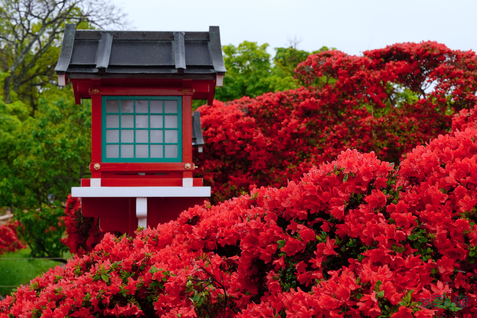 https://www.yaotomi.co.jp/blog/walk/BF_03745%2C40%20mm%2CF8%2C1-80%20%E7%A7%92%2Ciso400%28JPEG%29.jpg