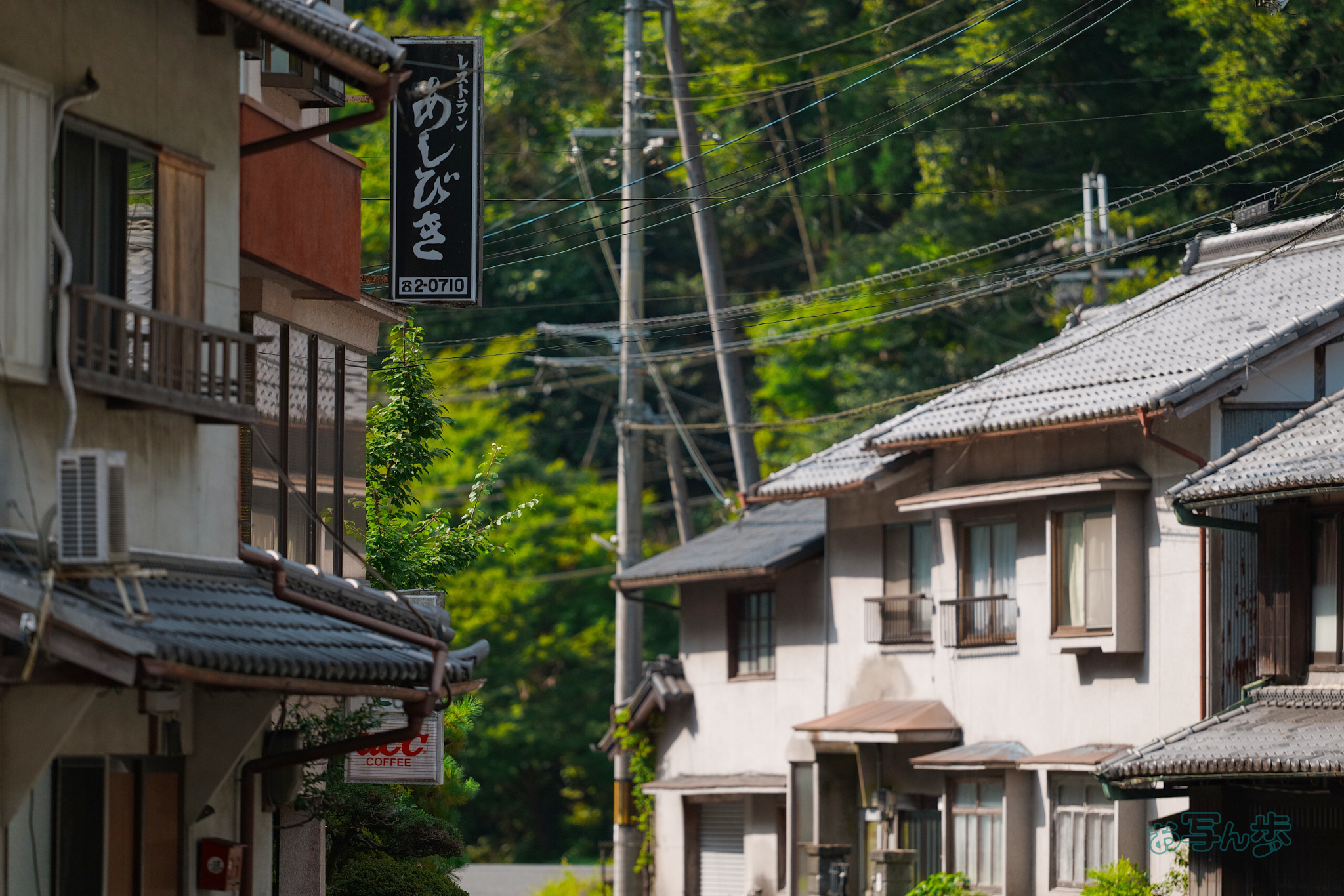 https://www.yaotomi.co.jp/blog/walk/BF_05441co%2C200%20mm%2CF2%2Ciso400%28JPEG%29.jpg