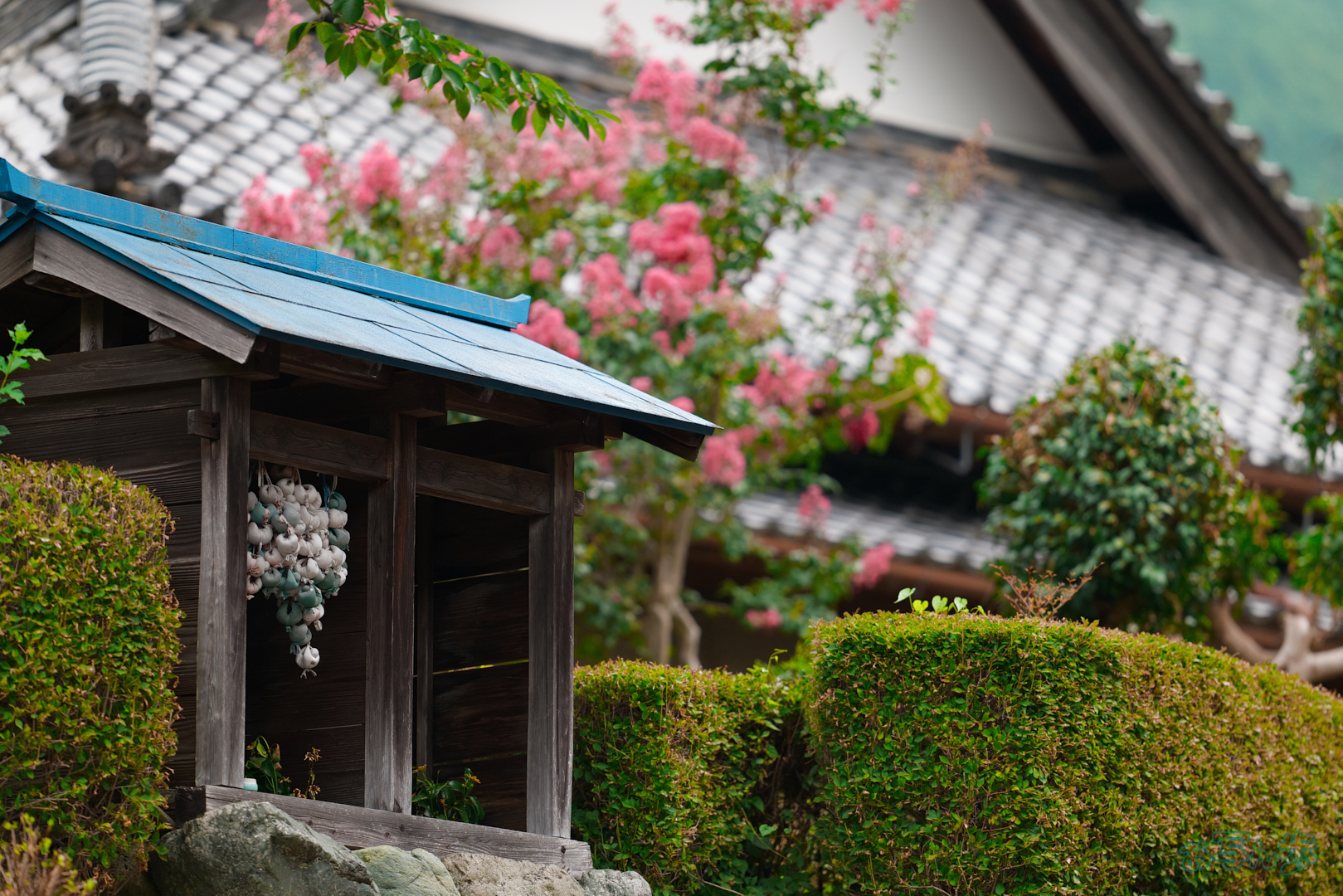 https://www.yaotomi.co.jp/blog/walk/BF_05626%2C200%20mm%2CF2%2C1-2000%20%E7%A7%92%2Ciso400%28JPEG%29.jpg