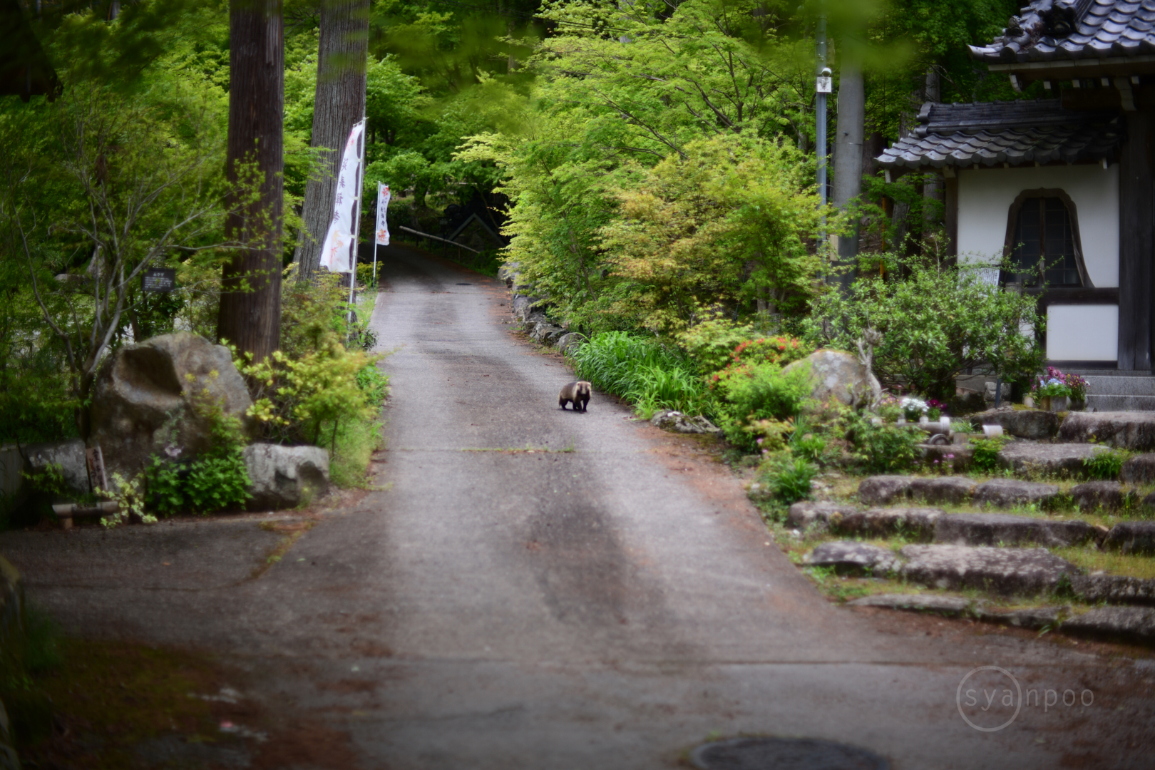 https://www.yaotomi.co.jp/blog/walk/D85_0847%2C55%20mm%2CF1.4%2Ciso100%28JPEG%29.jpg